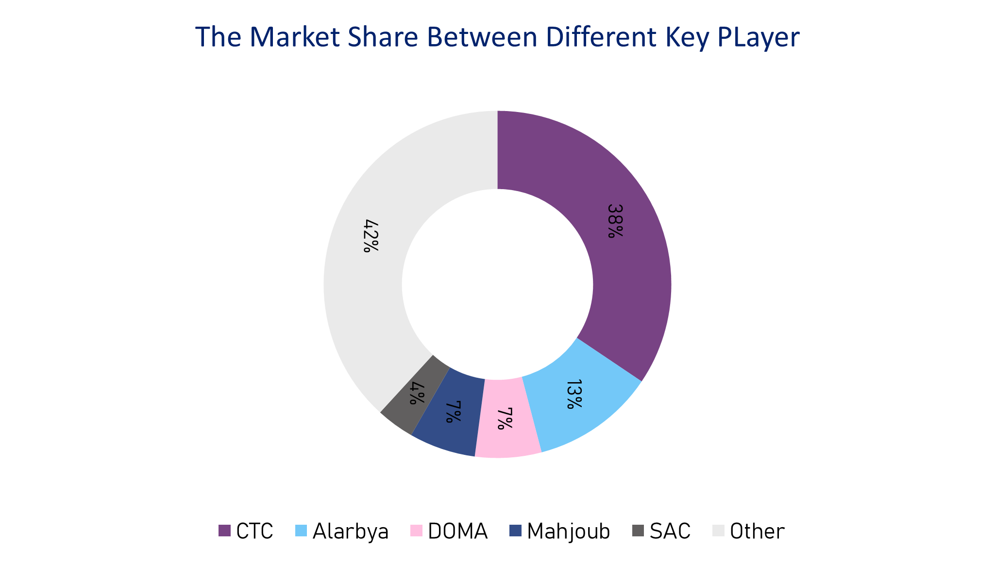 The main key players' shares